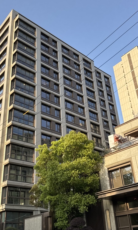 普陀金茂府施工进度图