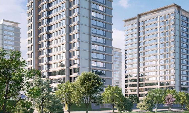 盛青云锦效果图