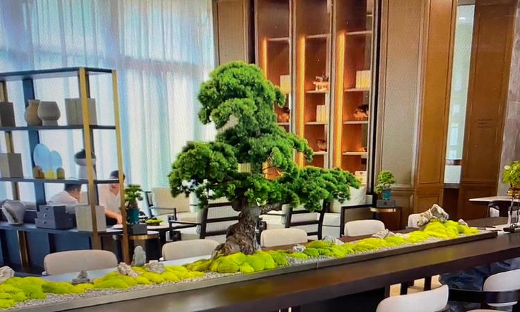 中国铁建·观山云邸实景图