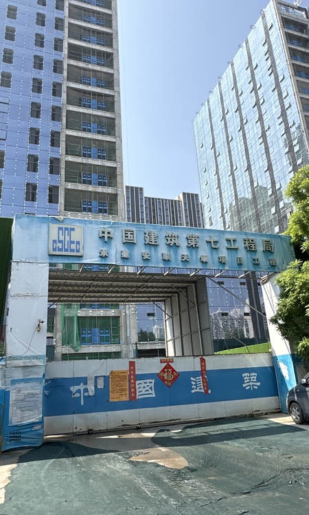 安联天颂施工进度图