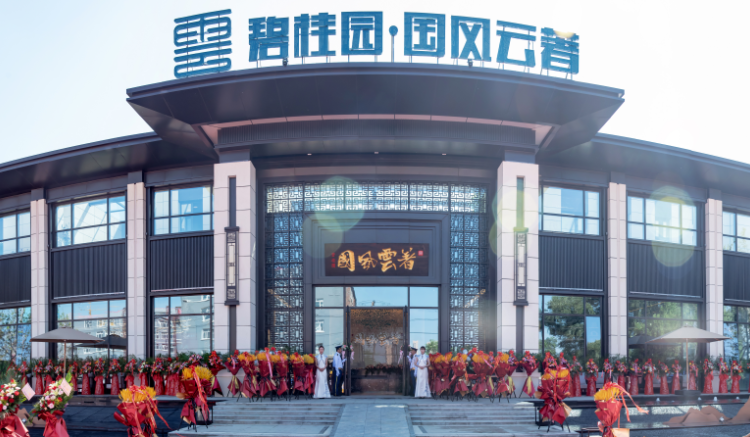 碧桂园·国风云著实景图