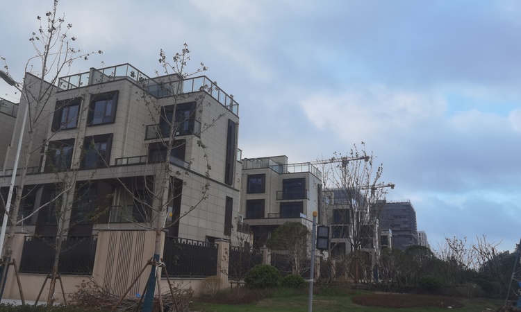 金港星海湾施工进度图