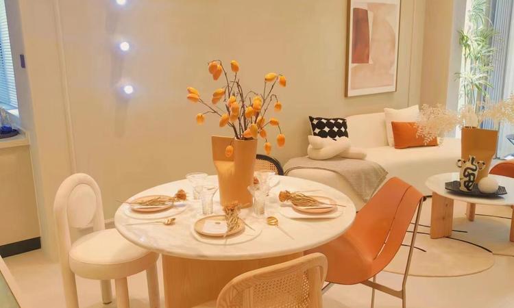 美联藏龙甲第样板间