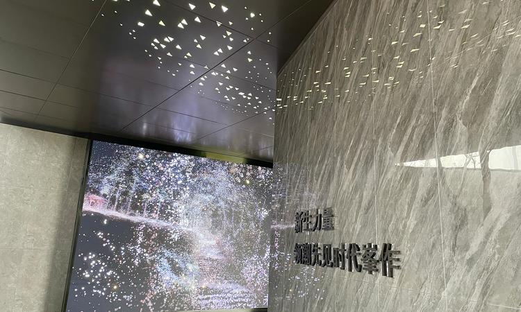 锦绣云麓实景图
