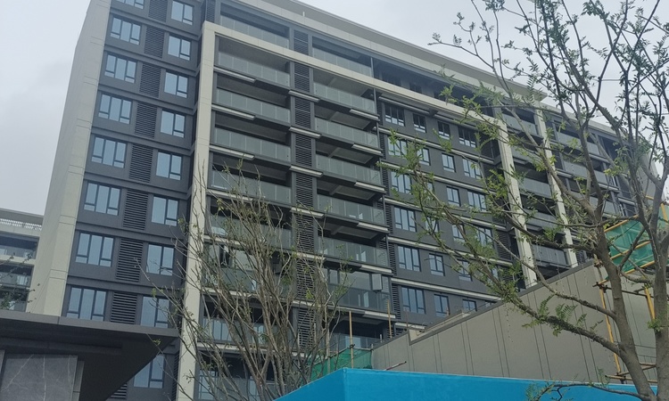 光谷鼎正悦府施工进度图