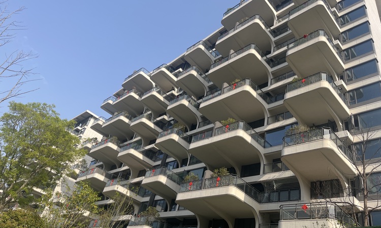 保利和光尘樾施工进度图