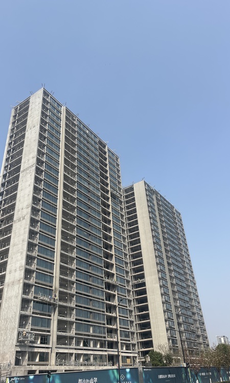 绿城保利交控桂月云翠园施工进度图