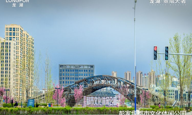 龙湖·景粼天著周边配套图