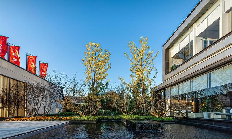  星联·花溪府效果图