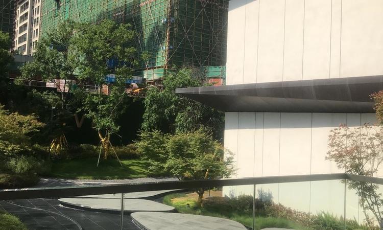 爱情·天宸万象施工进度图