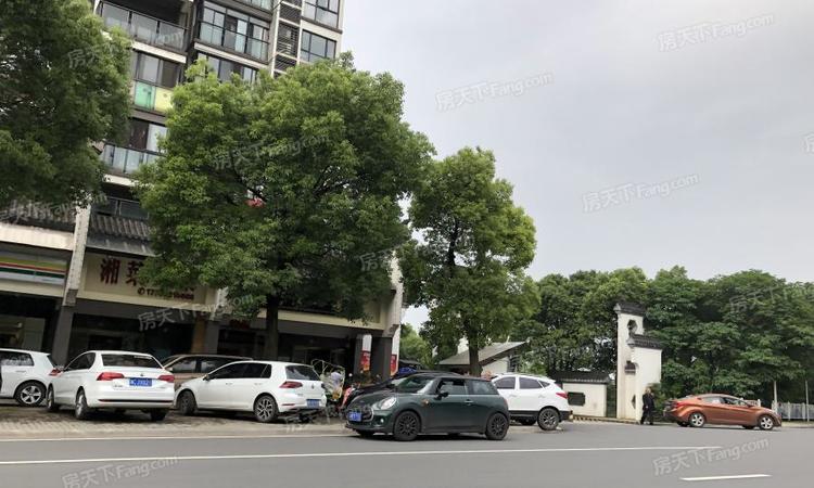 白石古莲城3期松竹里实景图