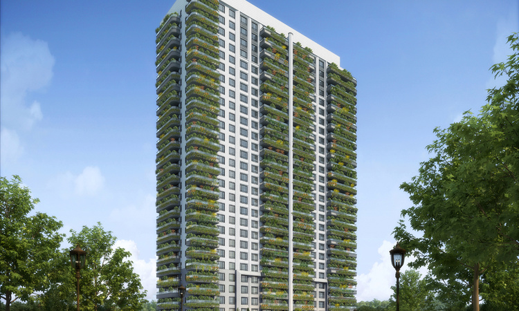 丰基云墅效果图