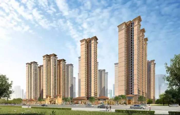 旭阳·热带森林效果图