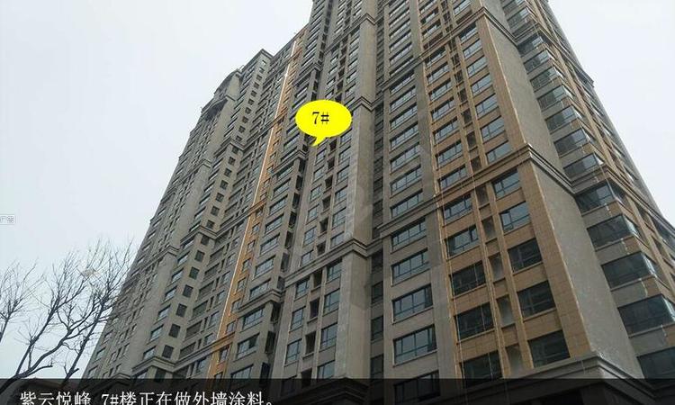 紫云悦峰施工进度图