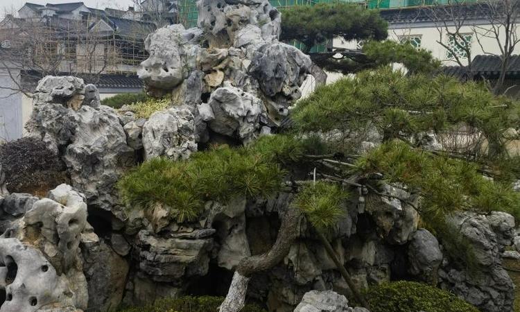 融创武汉桃花源施工进度图