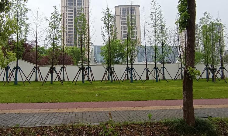 保利时区周边配套图