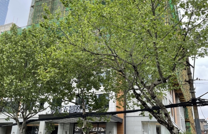 美联五福路1号实景图