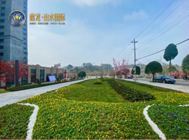 鑫龙·山水国际实景图