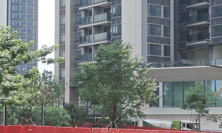 岗宏融湖盛景实景图