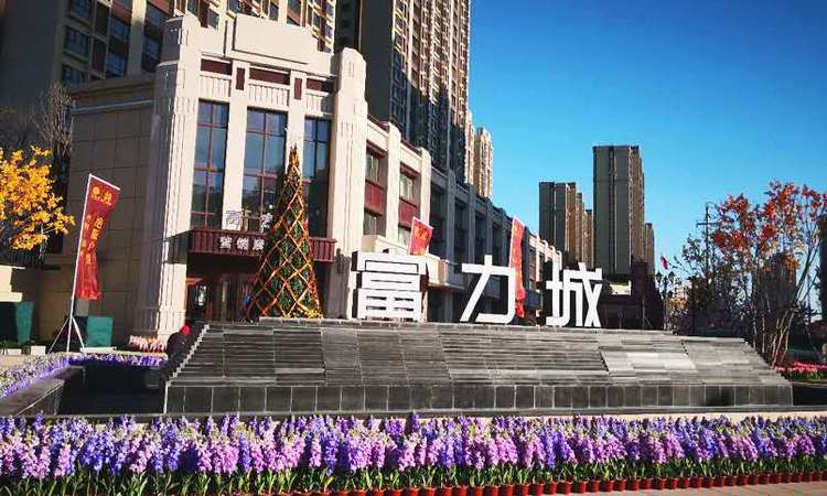 富力城 五星名座实景图