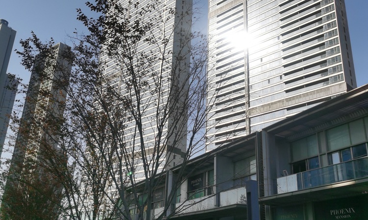 绿城金地凤起听澜施工进度图