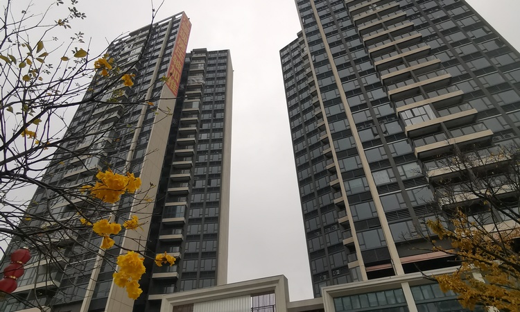 珠实·嘉悦湾实景图