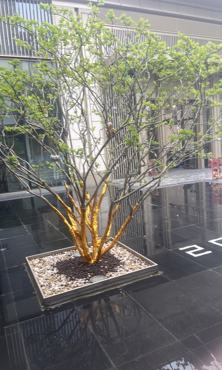 联发云璟施工进度图