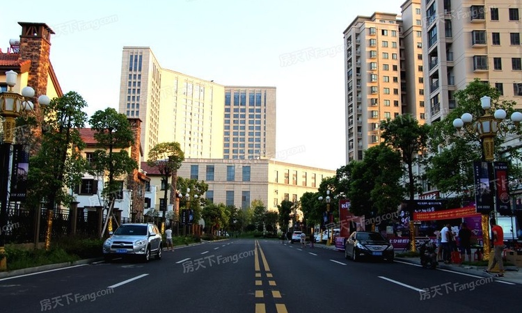 祥生·观澜府周边配套图