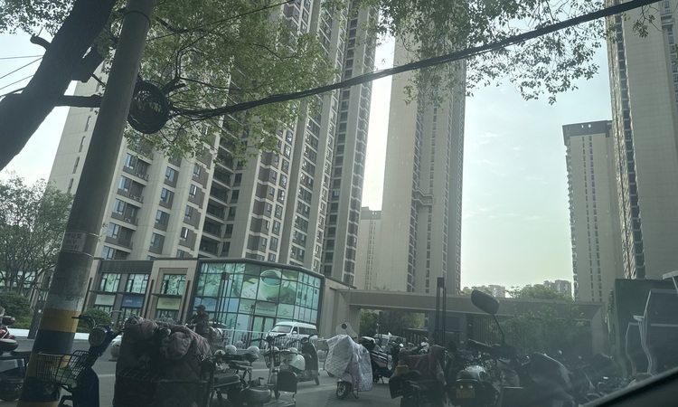 中国铁建知语1901施工进度图