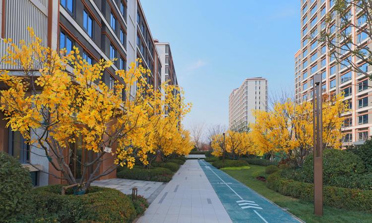 越秀·天玥实景图