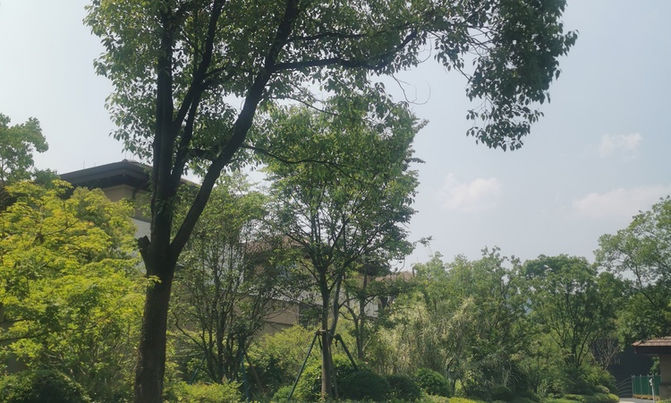 杭房·首望澜翠府施工进度图