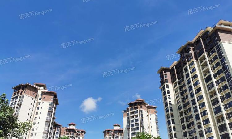 中央绿园实景图