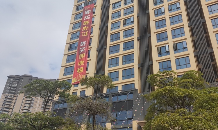  创业领寓施工进度图