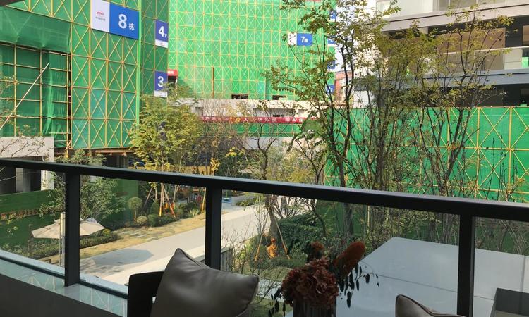 渝开发星河博棠施工进度图