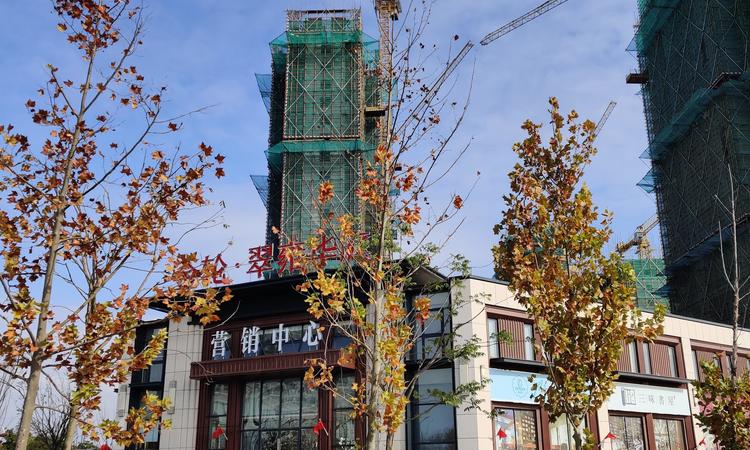  金轮翠雍华庭施工进度图