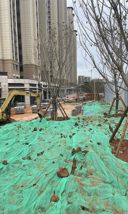 中骏云谷小镇施工进度图