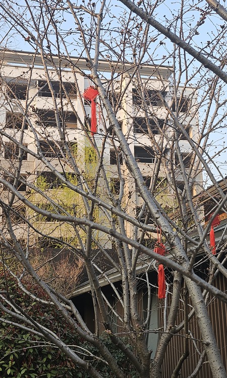 华宇林湖雅舍施工进度图