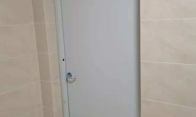 湖畔·水岸家园施工进度图