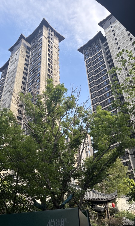 国贸建发保利悦湖施工进度图