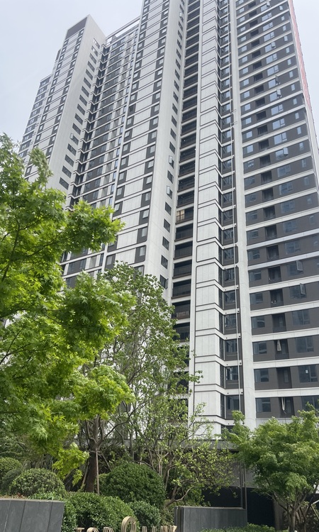 龙湖清能天曜施工进度图