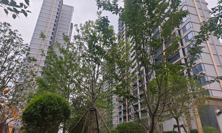 宝业·璞园实景图