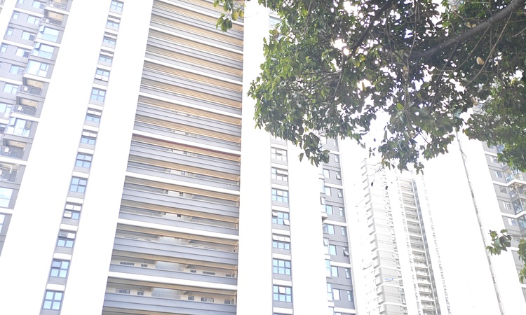 大华锦绣山海施工进度图