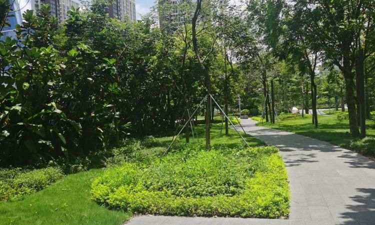 深铁前海时代周边配套图