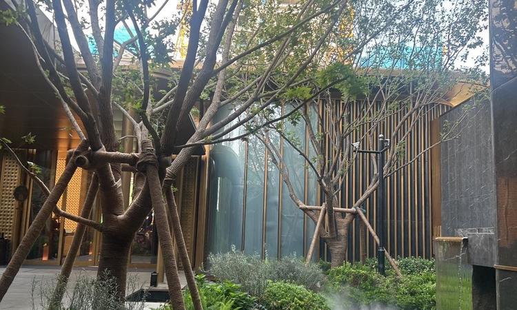 北京隅·东序实景图