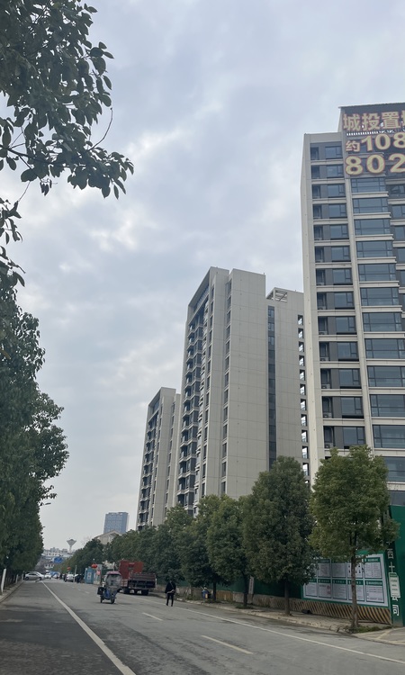 城投观澜东著实景图