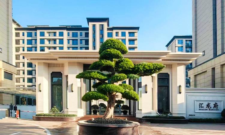佳运•汇龙府实景图