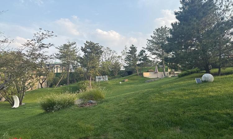 中建璞园PARK实景图