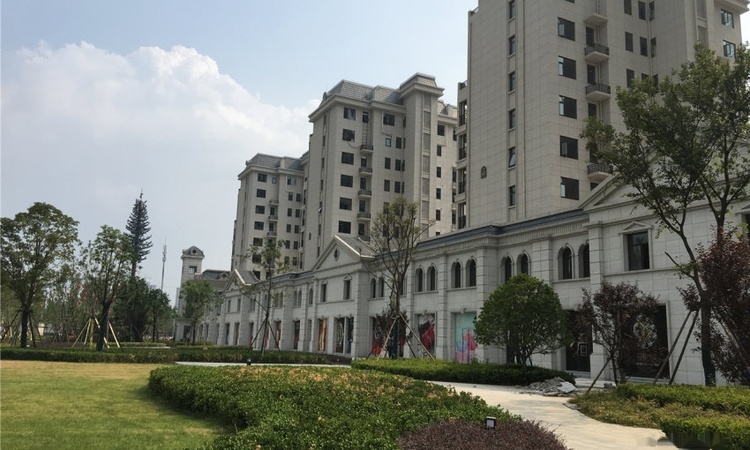 蓝天·卢浮9号实景图