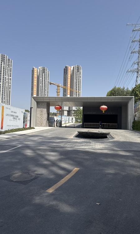 金地·公园名著施工进度图