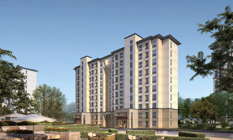 保利云禧施工进度图